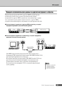 Страница 55
