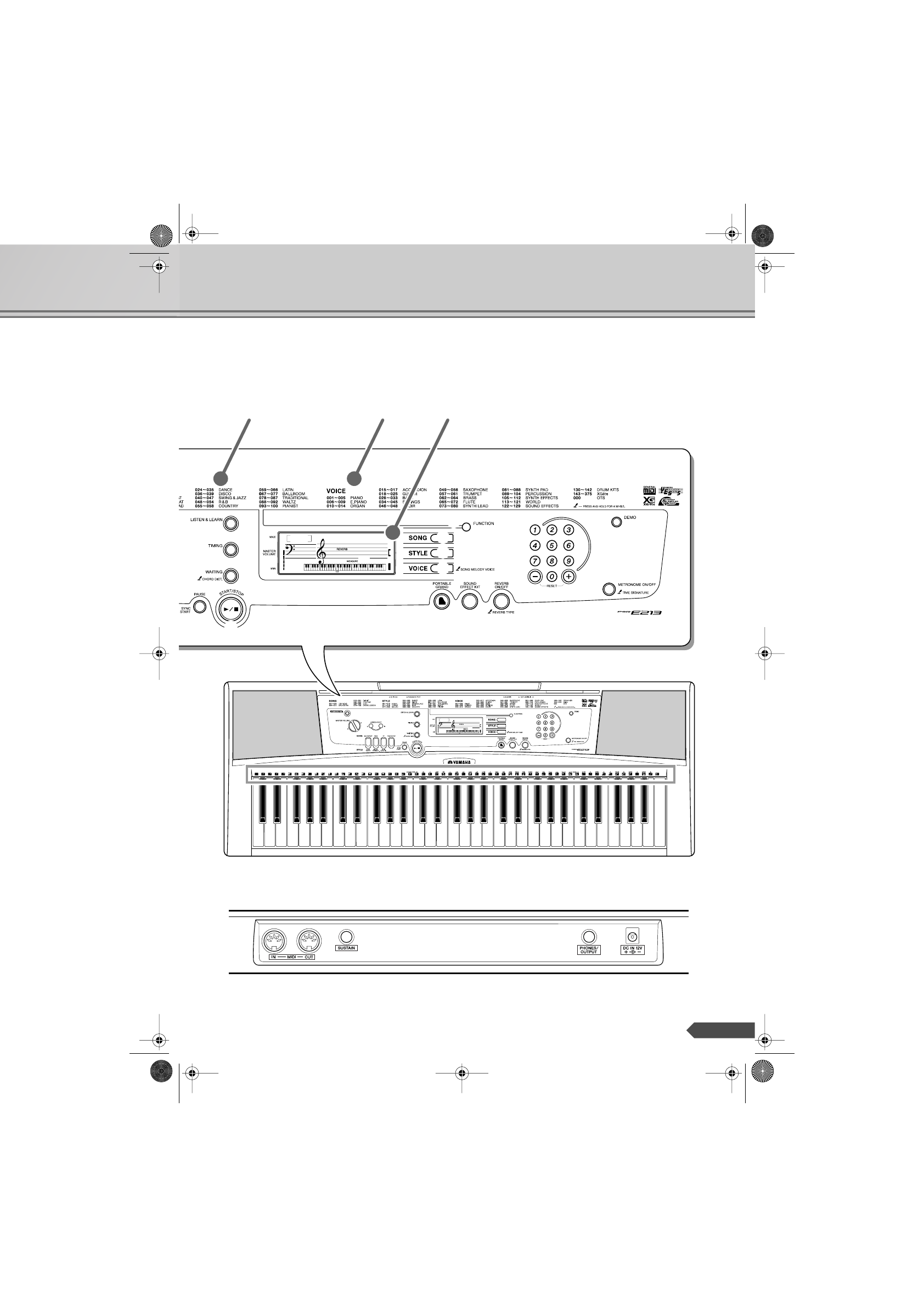 background image