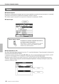 Страница 42