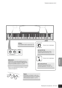 Strona 5