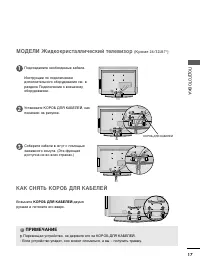 Страница 19