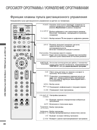 Страница 42