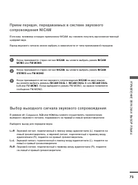 Страница 75