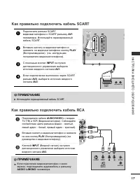 Страница 19