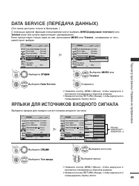 Страница 51