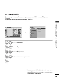 Страница 33
