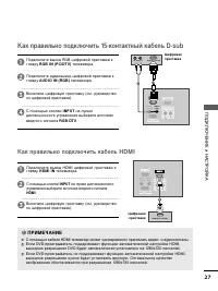 Страница 29