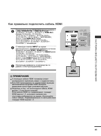 Страница 43