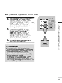 Страница 43