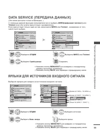 Страница 51