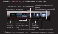 Страница 169