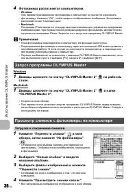 Страница 36