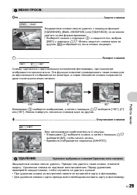 Страница 29