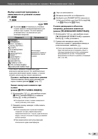 Страница 29