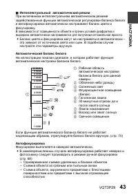Страница 43