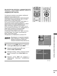 Страница 81