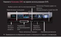 Страница 181