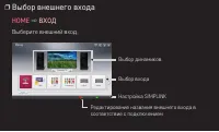 Страница 81