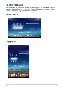Страница 43