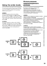 Страница 39