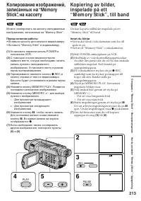 Страница 213