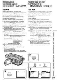 Страница 217