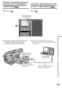 Страница 245