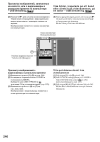 Страница 246