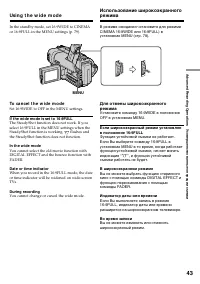Страница 43