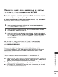 Страница 57