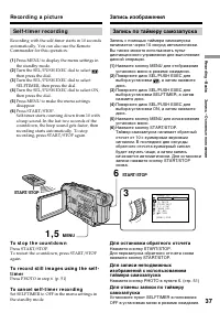 Страница 37