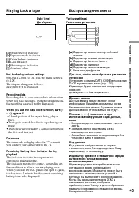 Страница 43
