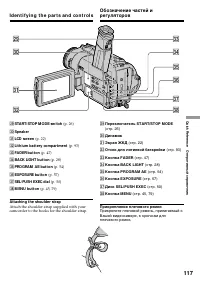 Страница 117