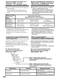 Страница 238