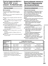 Страница 243