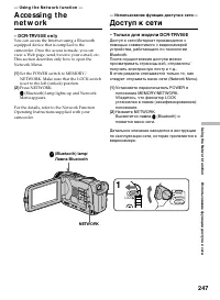 Страница 247