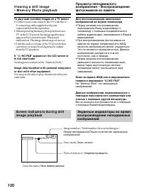 Страница 120