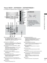 Страница 41