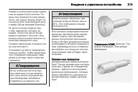 Страница 217