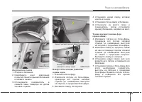 Страница 446