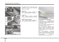 Страница 241