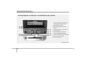 Страница 243