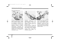 Страница 245