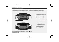 Страница 241