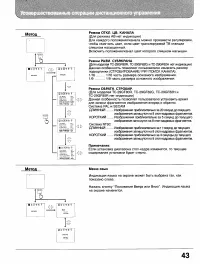 Страница 43