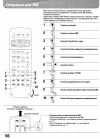 Страница 55