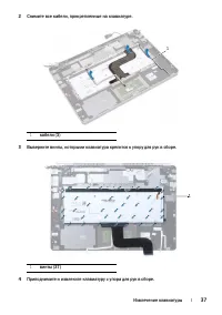 Страница 37