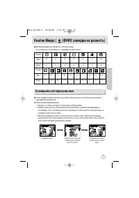 Страница 31