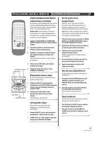 Страница 41