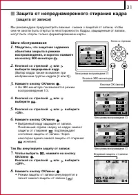 Страница 31